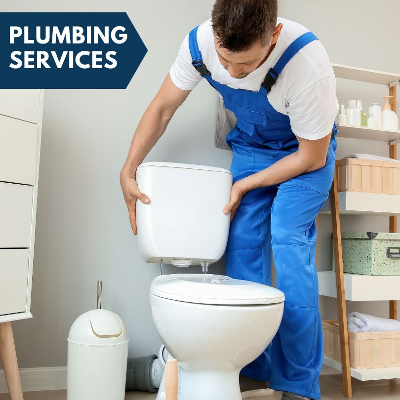 Plumbing Company in Dolliver, IA